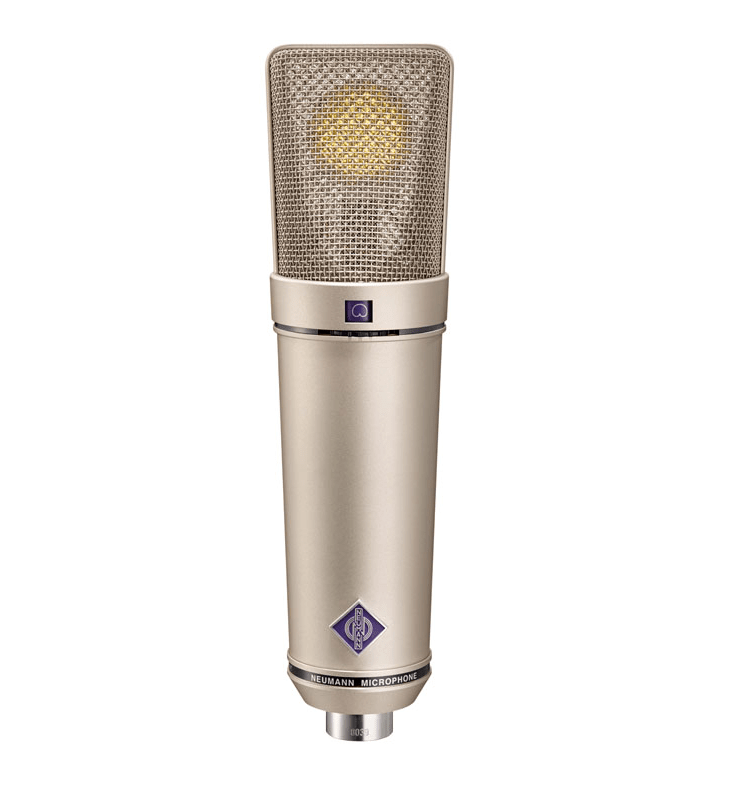 Neumann U 89i Multi-Pattern Condenser Microphone - The Ultimate Studio Essential