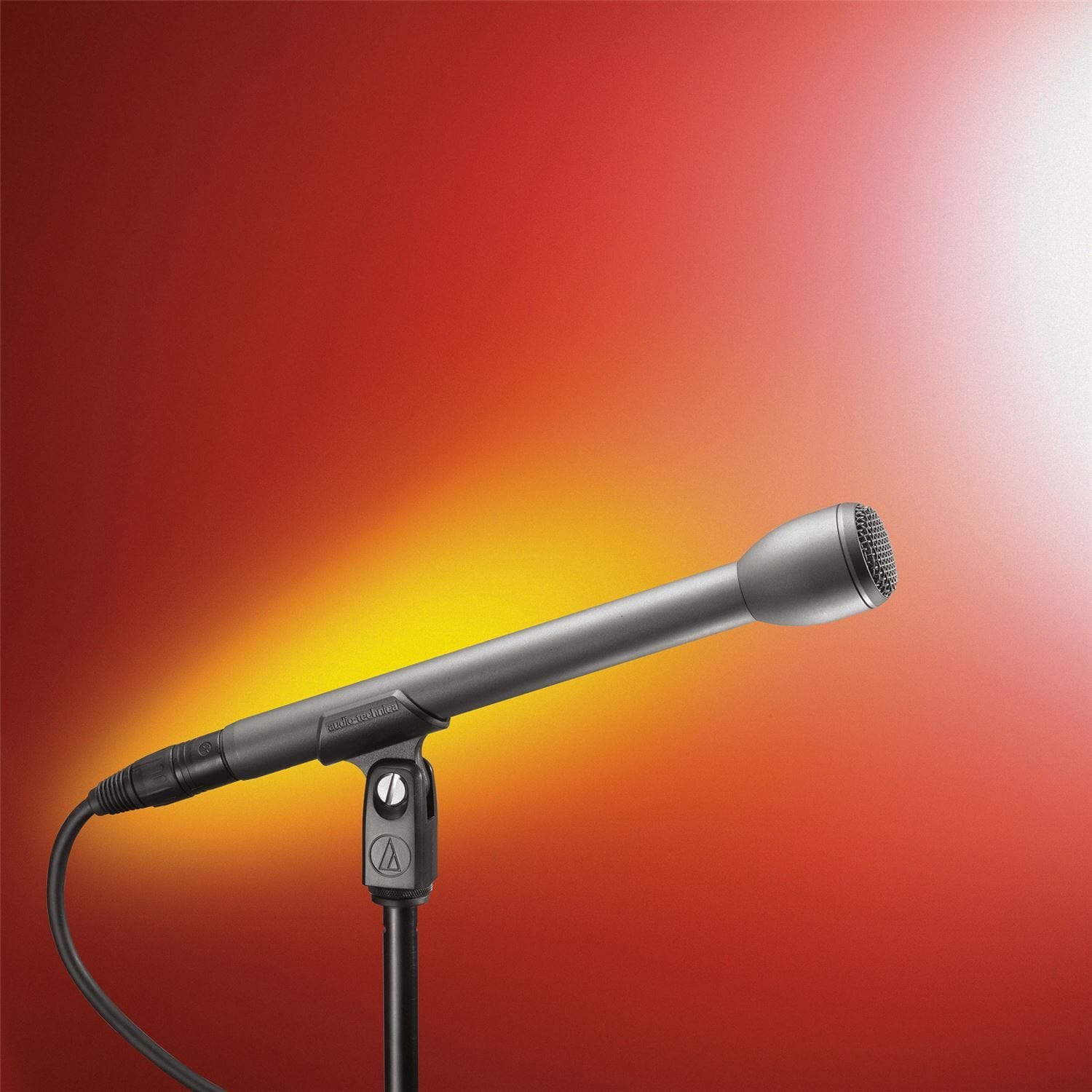 Audio Technica AT8004L Dynamic Microphone with Extended Handle - Your On-Location Recording Companion